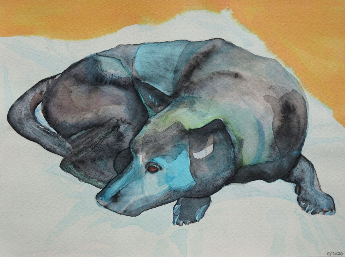 Blue and black dog, somewhat abstract, on a grey-white mat